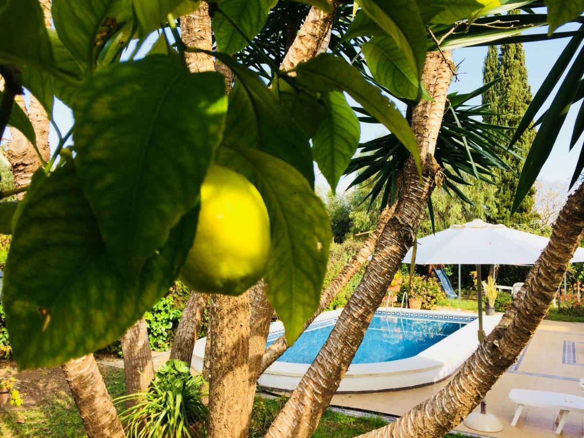 Ferrer Sevilla Holiday home Gines